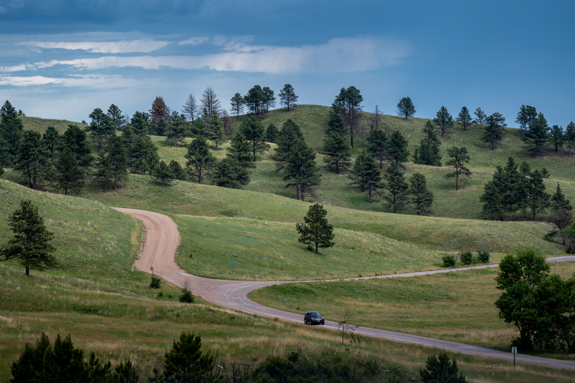 custer state park, south dakota (4).webp